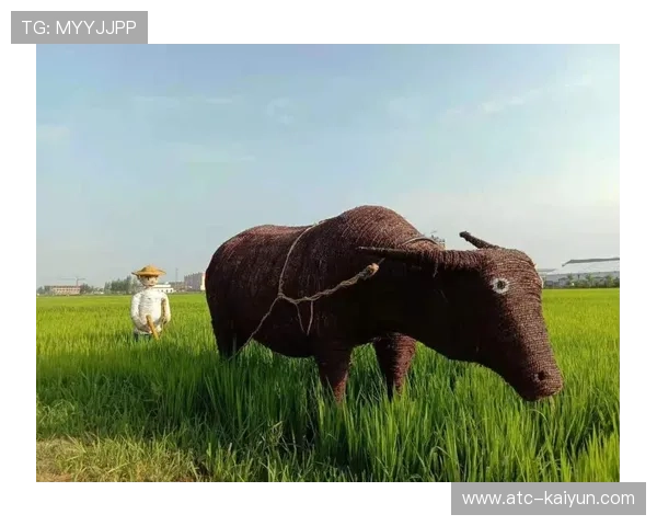 榕江县借村超新增市场主体8086家，体育赋能乡村振兴